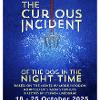 Curious Incident of the Dog in the Night-Time coming October 2025